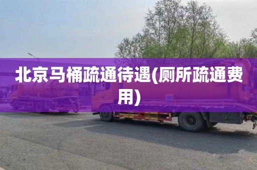 北京马桶疏通待遇(厕所疏通费用)