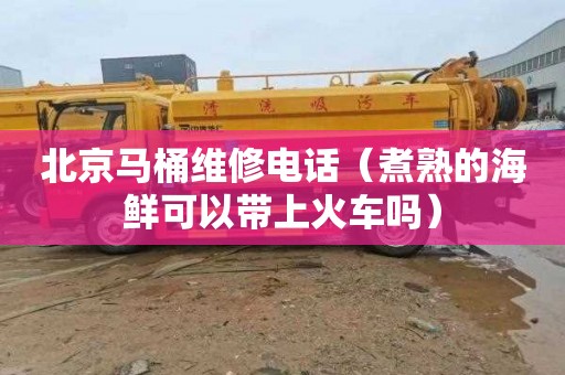 北京马桶维修电话（煮熟的海鲜可以带上火车吗）