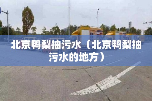 北京鸭梨抽污水（北京鸭梨抽污水的地方）