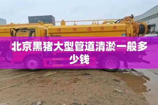 北京黑猪大型管道清淤一般多少钱