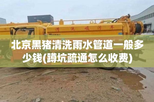 北京黑猪清洗雨水管道一般多少钱(蹲坑疏通怎么收费)