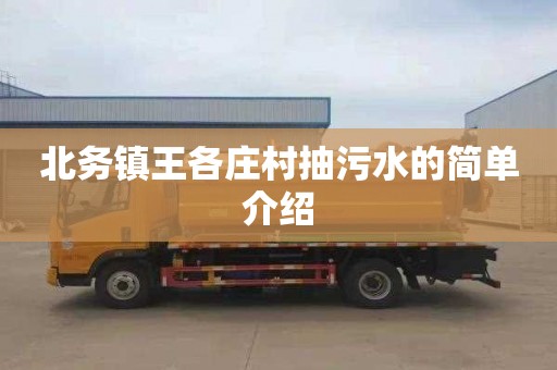 北务镇王各庄村抽污水的简单介绍
