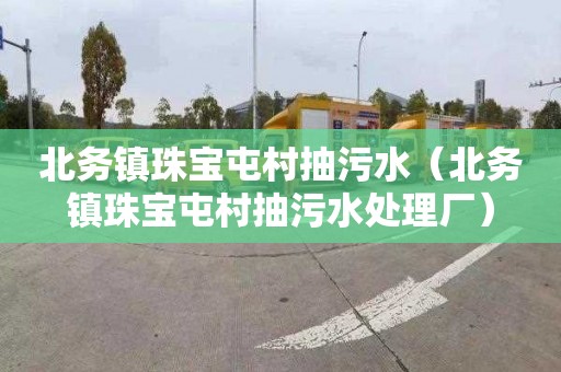 北务镇珠宝屯村抽污水（北务镇珠宝屯村抽污水处理厂）