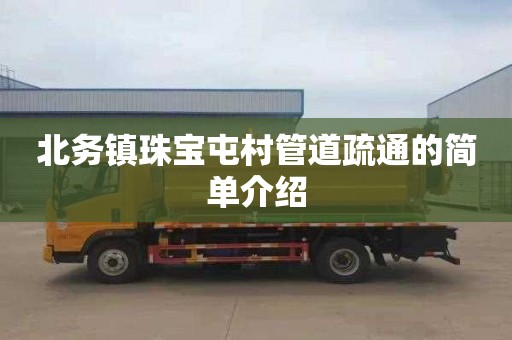 北务镇珠宝屯村管道疏通的简单介绍