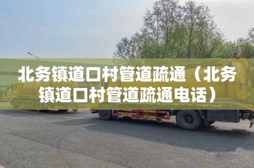 北务镇道口村管道疏通（北务镇道口村管道疏通电话）