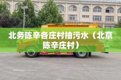 北务陈辛各庄村抽污水（北京陈辛庄村）