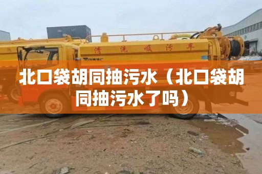 北口袋胡同抽污水（北口袋胡同抽污水了吗）
