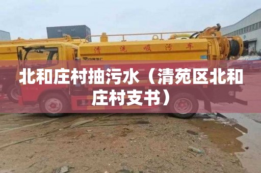 北和庄村抽污水（清苑区北和庄村支书）