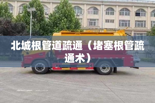 北城根管道疏通（堵塞根管疏通术）