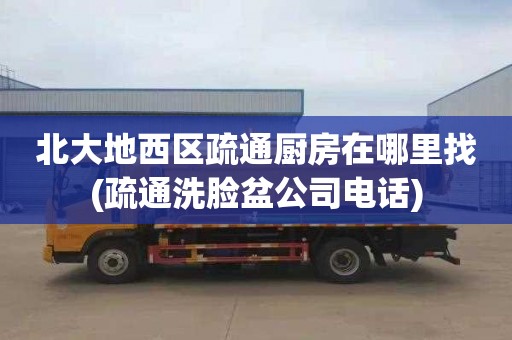 北大地西区疏通厨房在哪里找(疏通洗脸盆公司电话)