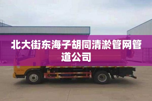 北大街东海子胡同清淤管网管道公司