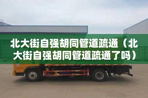 北大街自强胡同管道疏通（北大街自强胡同管道疏通了吗）