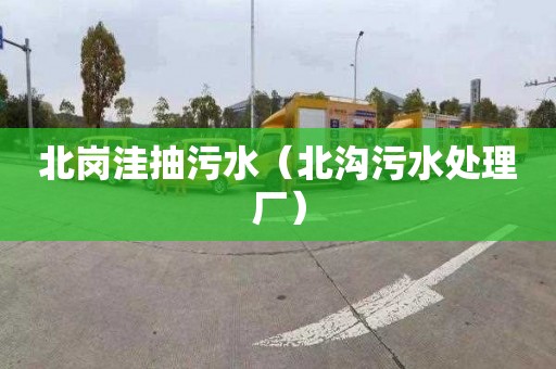 北岗洼抽污水（北沟污水处理厂）