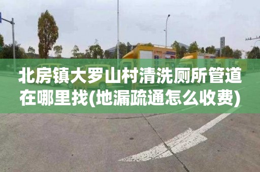 北房镇大罗山村清洗厕所管道在哪里找(地漏疏通怎么收费)