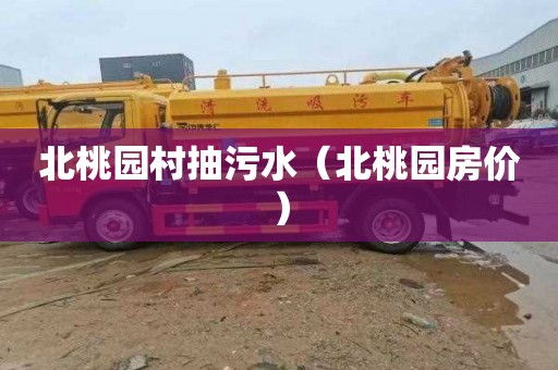 北桃园村抽污水（北桃园房价）