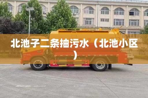 北池子二条抽污水（北池小区）