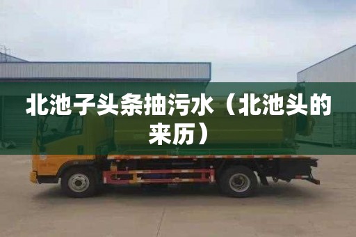 北池子头条抽污水（北池头的来历）