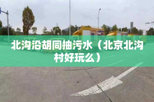 北沟沿胡同抽污水（北京北沟村好玩么）