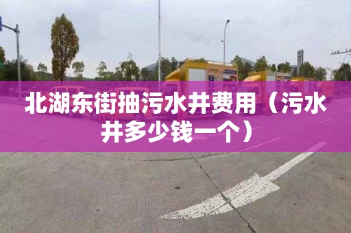北湖东街抽污水井费用（污水井多少钱一个）
