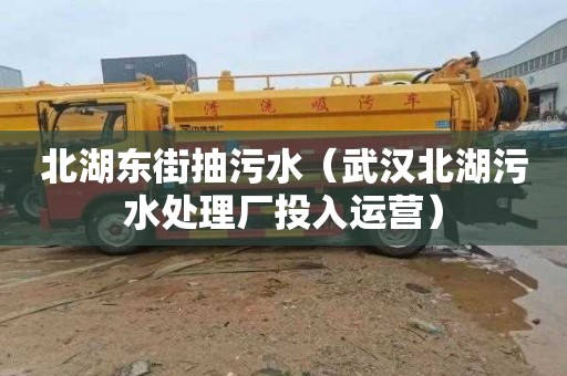 北湖东街抽污水（武汉北湖污水处理厂投入运营）