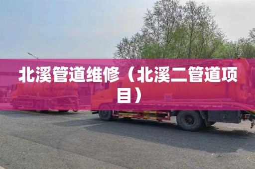 北溪管道维修（北溪二管道项目）