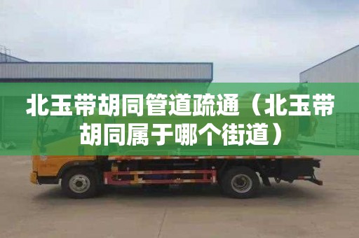 北玉带胡同管道疏通（北玉带胡同属于哪个街道）