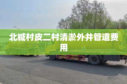 北臧村皮二村清淤外井管道费用