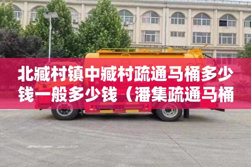 北臧村镇中臧村疏通马桶多少钱一般多少钱（潘集疏通马桶多少钱）