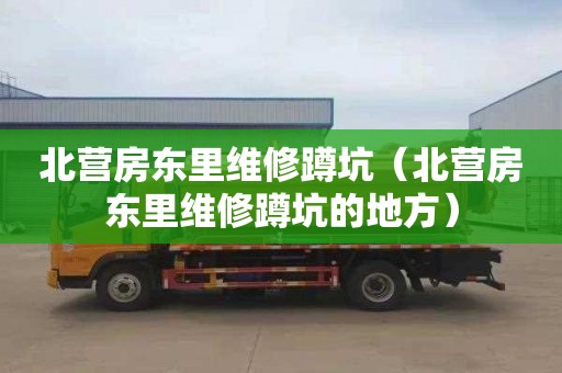 北营房东里维修蹲坑（北营房东里维修蹲坑的地方）