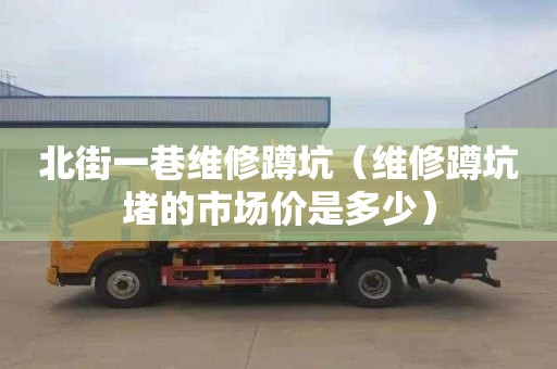 北街一巷维修蹲坑（维修蹲坑堵的市场价是多少）