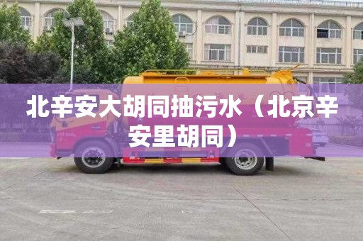 北辛安大胡同抽污水（北京辛安里胡同）