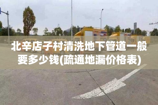 北辛店子村清洗地下管道一般要多少钱(疏通地漏价格表)