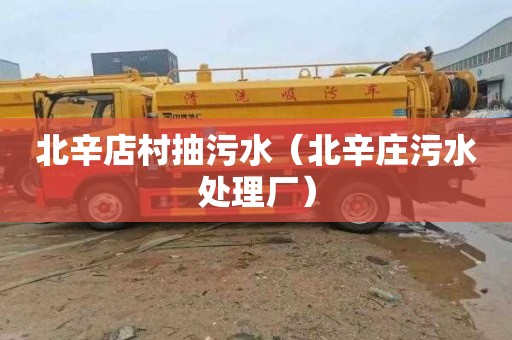 北辛店村抽污水（北辛庄污水处理厂）