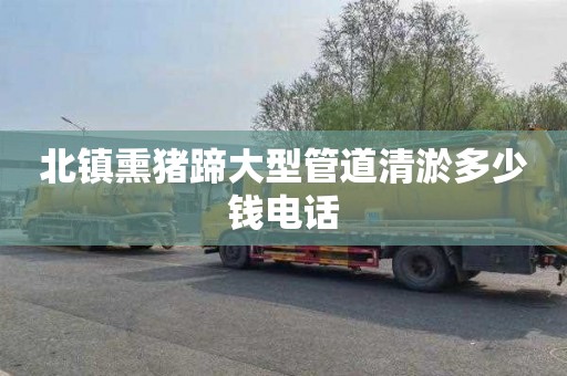 北镇熏猪蹄大型管道清淤多少钱电话