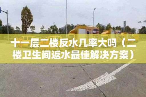 十一层二楼反水几率大吗（二楼卫生间返水最佳解决方案）