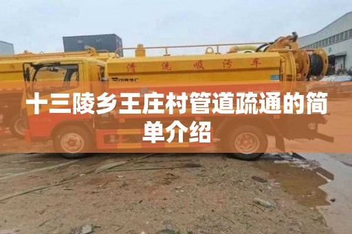 十三陵乡王庄村管道疏通的简单介绍