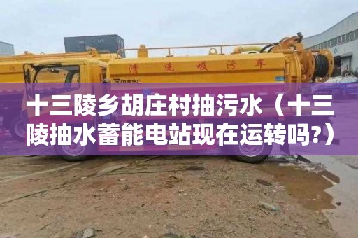 十三陵乡胡庄村抽污水（十三陵抽水蓄能电站现在运转吗?）