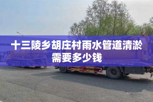 十三陵乡胡庄村雨水管道清淤需要多少钱