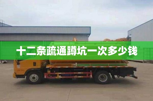 十二条疏通蹲坑一次多少钱