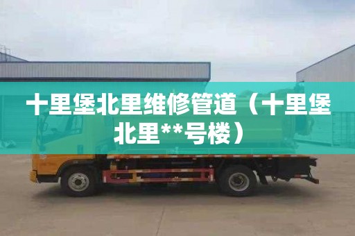 十里堡北里维修管道（十里堡北里**号楼）