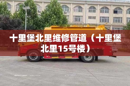 十里堡北里维修管道（十里堡北里15号楼）