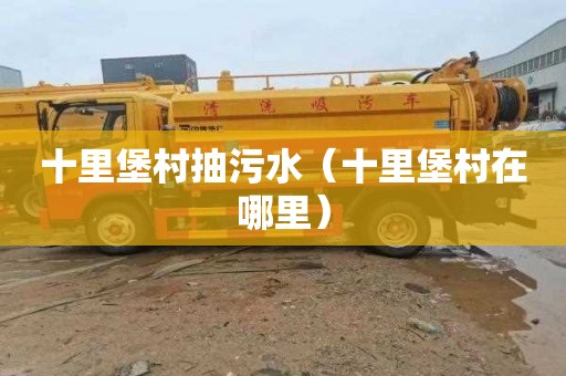 十里堡村抽污水（十里堡村在哪里）