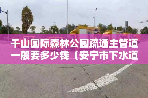 千山国际森林公园疏通主管道一般要多少钱（安宁市下水道疏通）