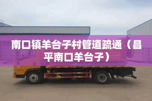 南口镇羊台子村管道疏通（昌平南口羊台子）