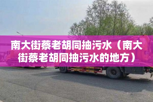 南大街蔡老胡同抽污水（南大街蔡老胡同抽污水的地方）
