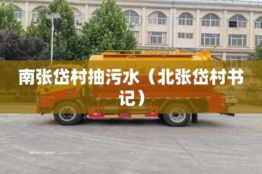 南张岱村抽污水（北张岱村书记）