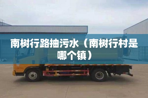 南树行路抽污水（南树行村是哪个镇）