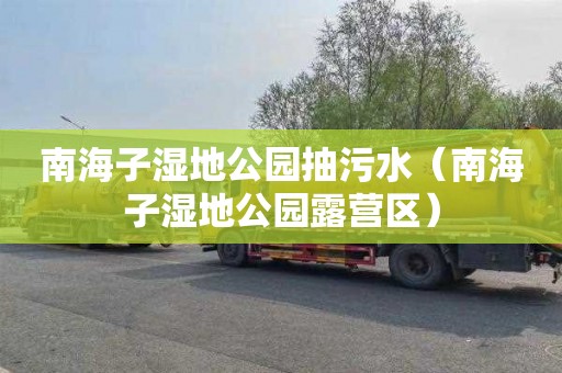 南海子湿地公园抽污水（南海子湿地公园露营区）