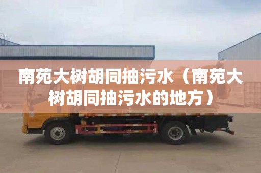 南苑大树胡同抽污水（南苑大树胡同抽污水的地方）