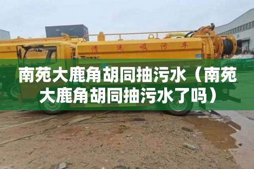 南苑大鹿角胡同抽污水（南苑大鹿角胡同抽污水了吗）